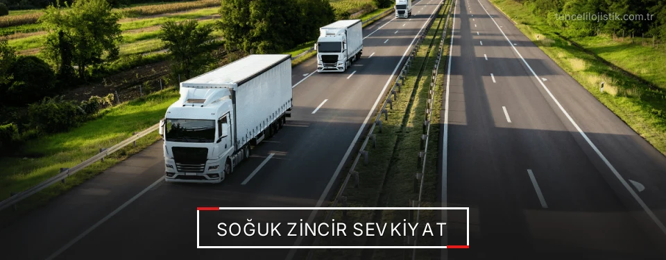Tunceli Frigo Taşımacılık Firmaları Tunceli Frigo Taşımacılık Firmaları